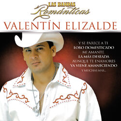Cover of Las Bandas Románticas