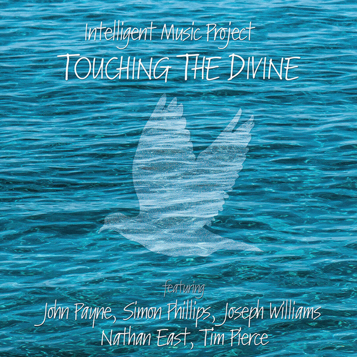 Album cover of Touching the Divine