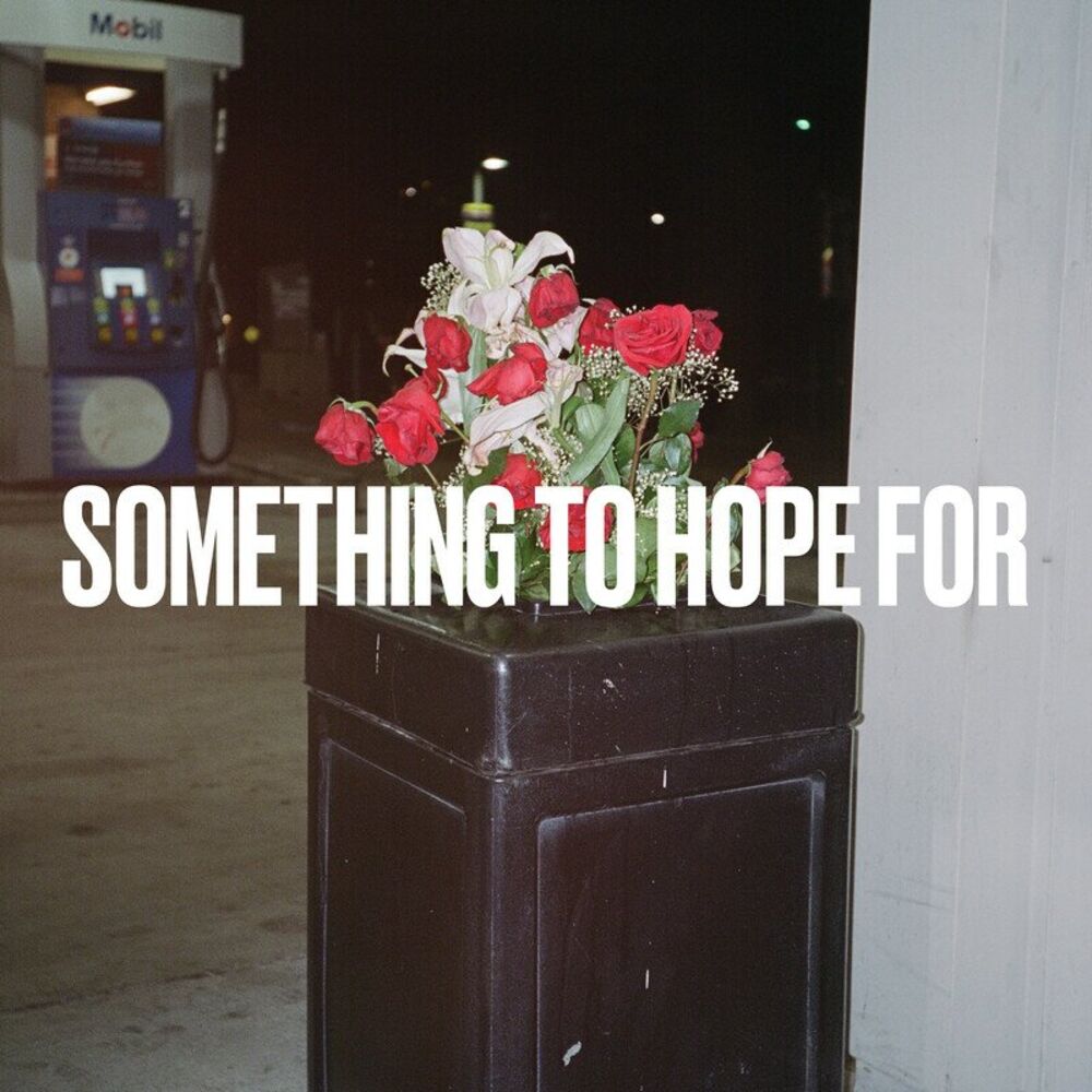 Picture of Something to Hope For