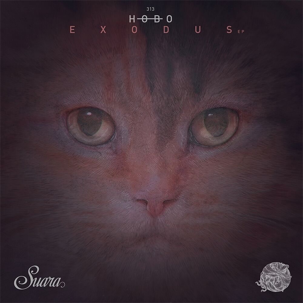 Picture of Exodus
