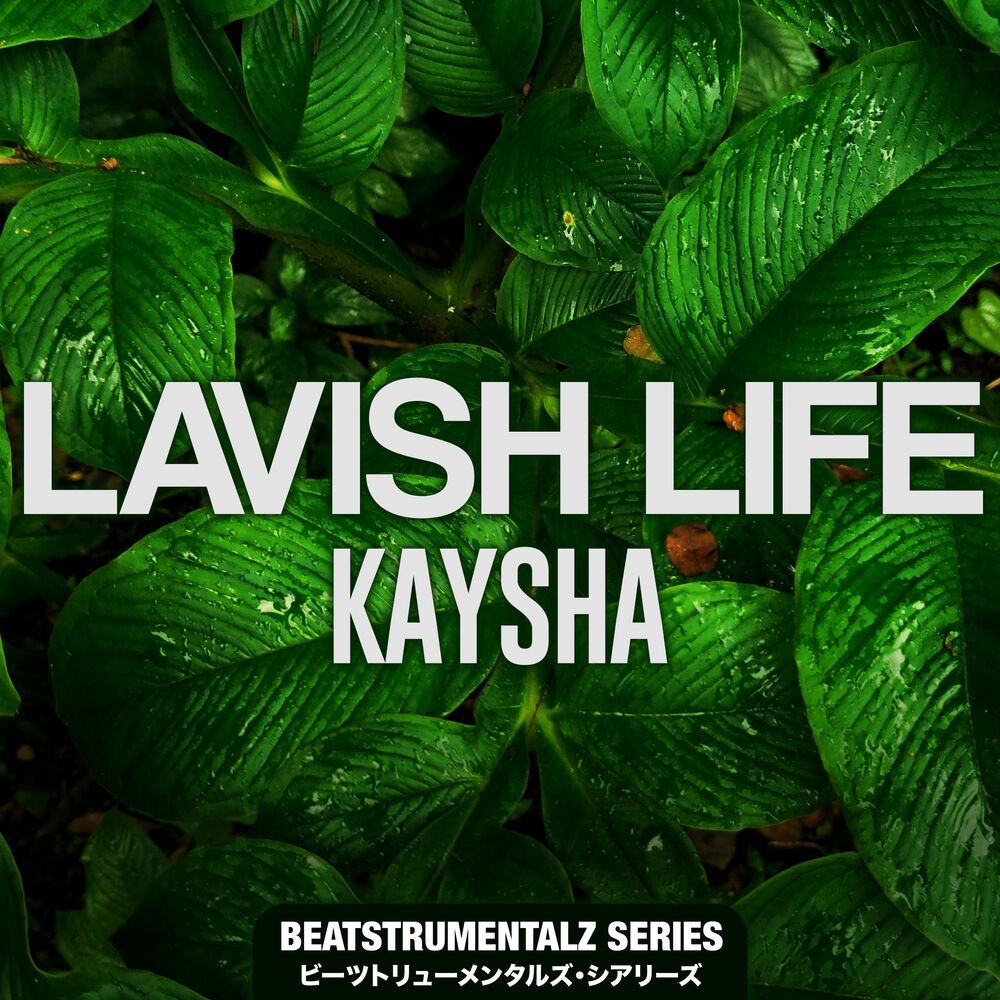 Picture of Lavish Life (Beatstrumentalz)
