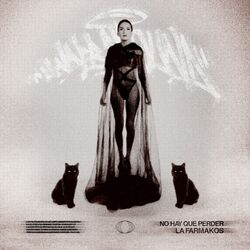 Cover of No Se Puede Negar