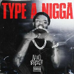 Cover of Type a Nigga