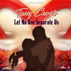 Cover of Let No One Seperate Us