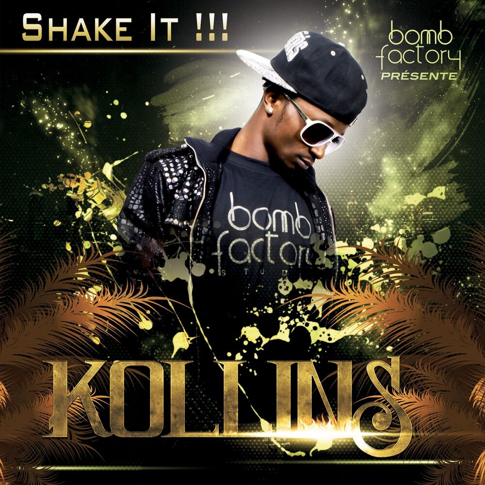 Picture of Shake It