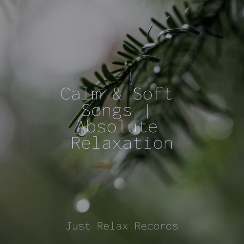 Calm & Soft Songs | Absolute Relaxation