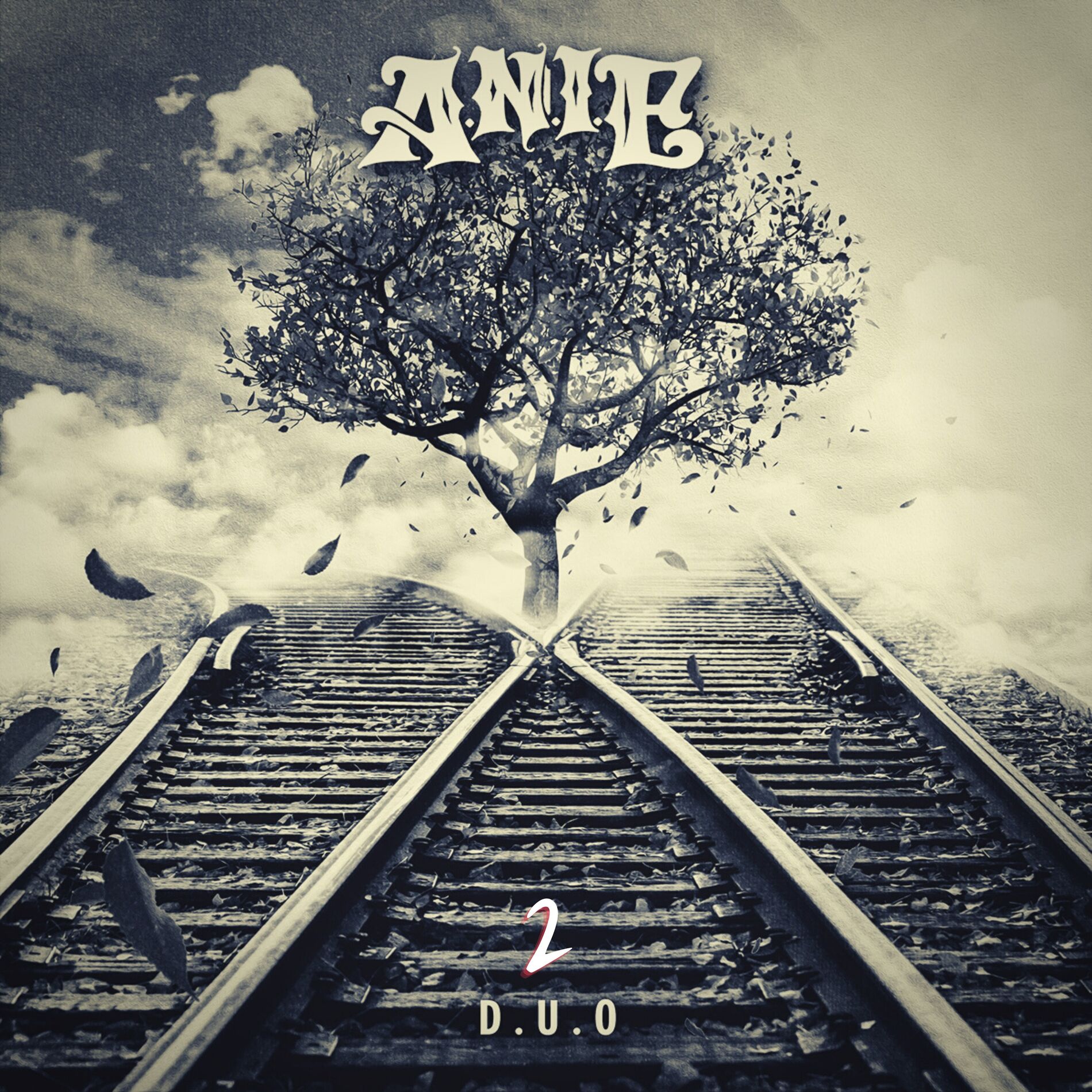 Album cover of D.U.O. 2