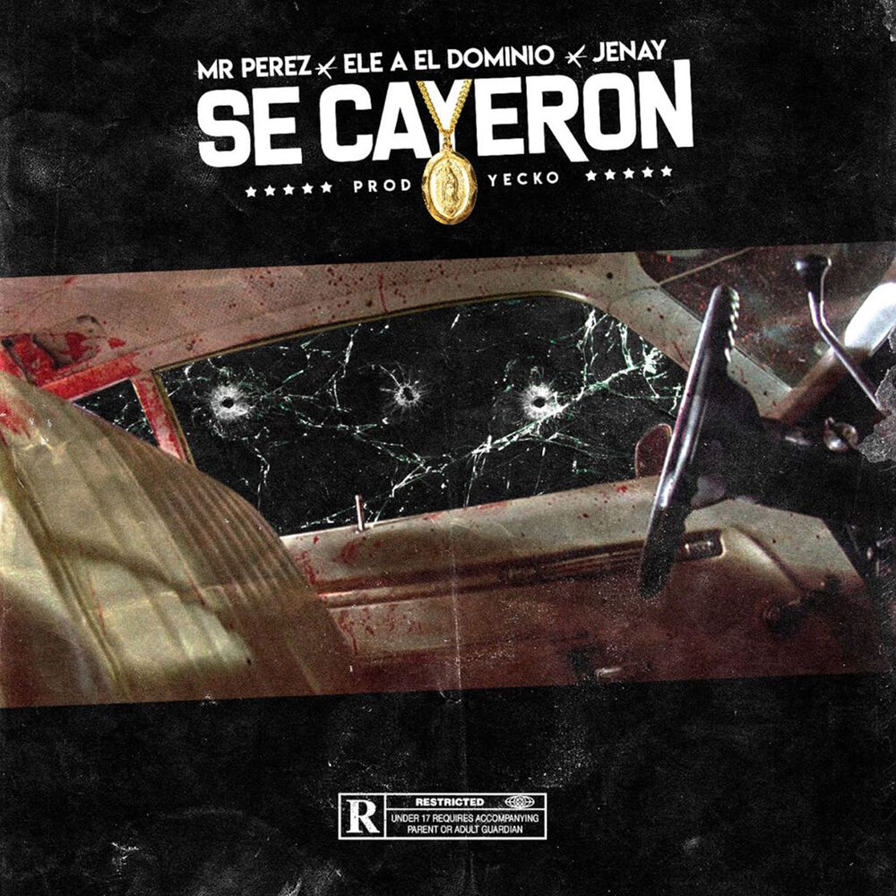 Picture of Se Cayeron
