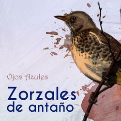 Cover of Zorzales de Antaño…Ojos Azules