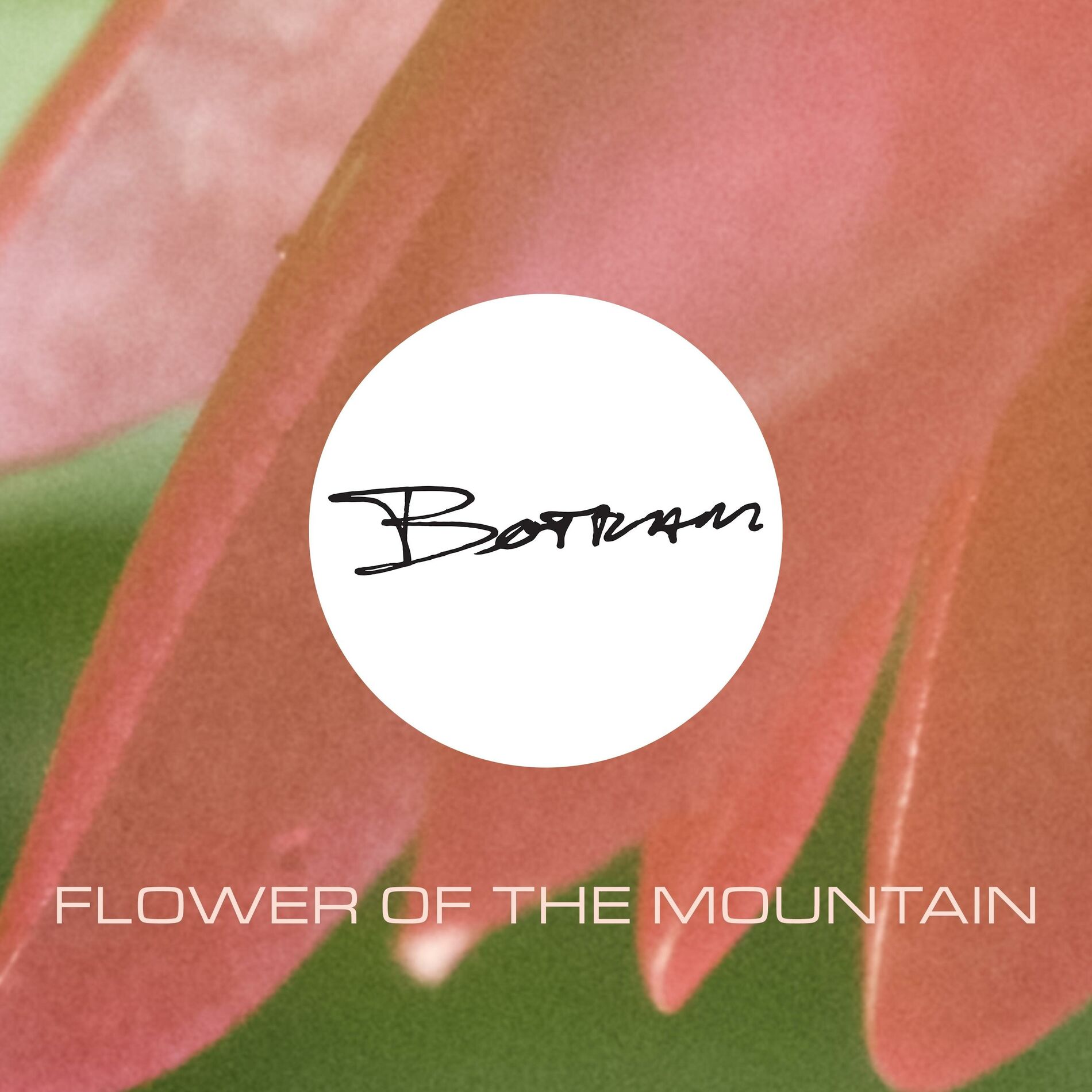 Album cover of Flower of the Mountain
