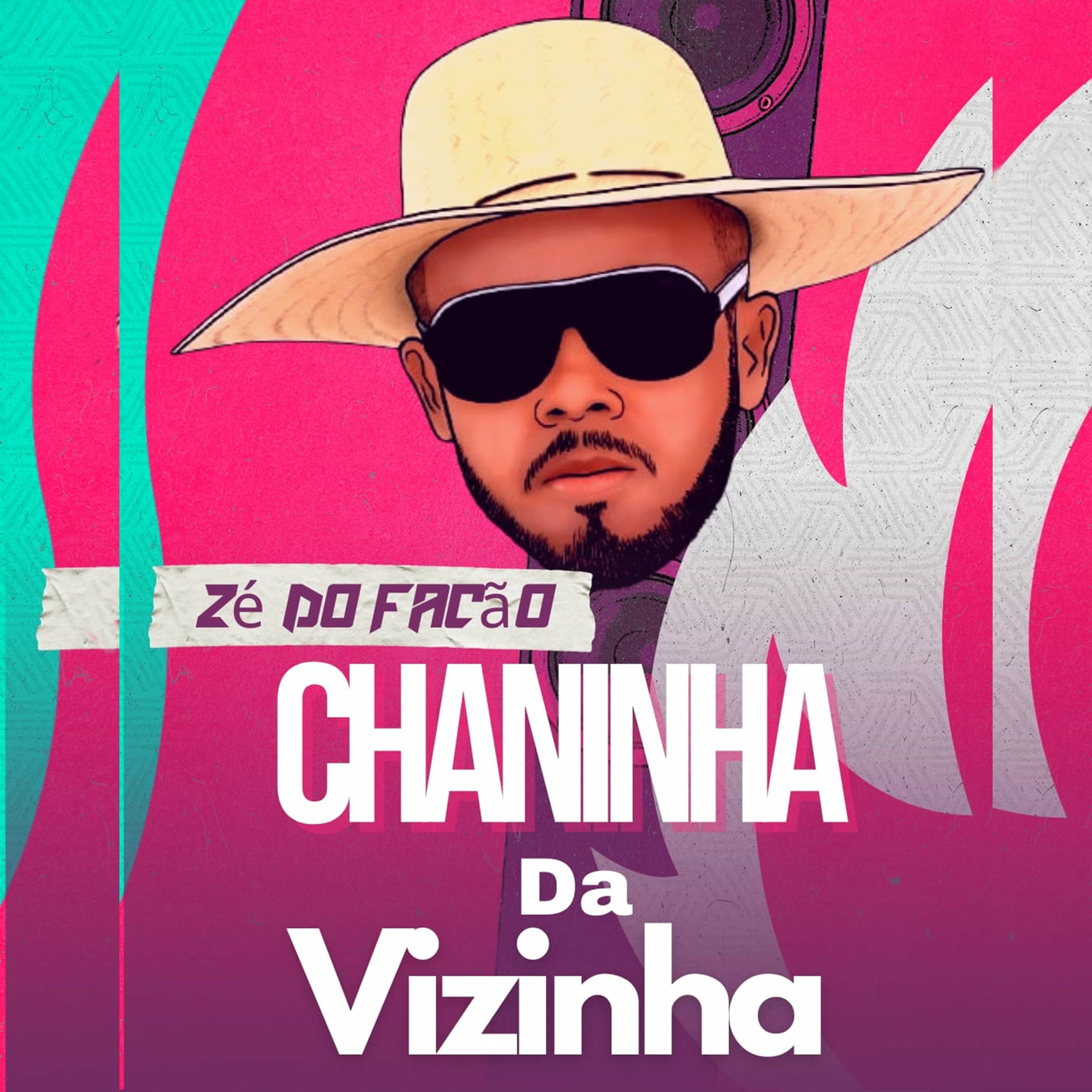 Album cover of Chaninha da Vizinha