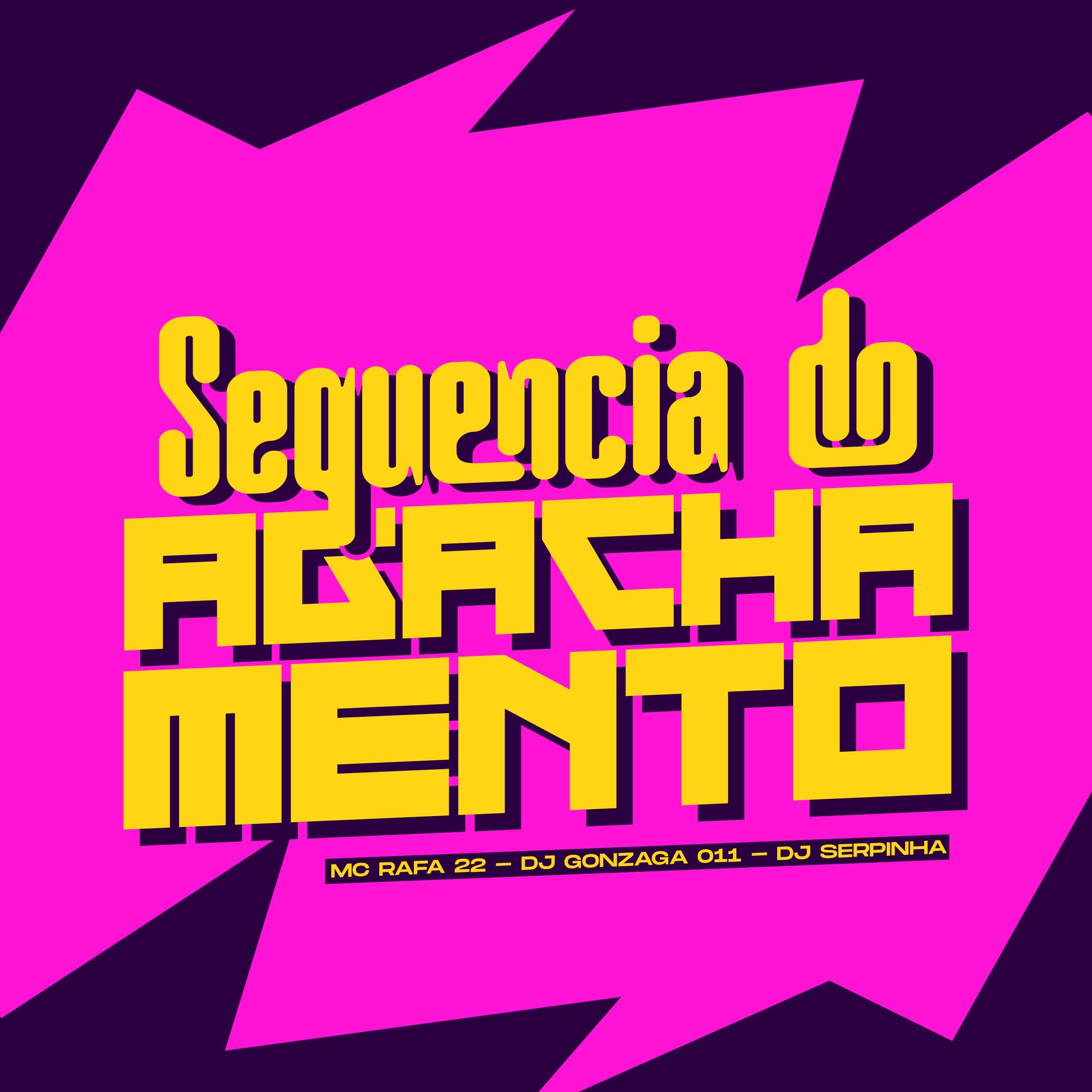 Album cover of SEQUENCIA DO AGACHAMENTO