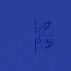 Cover of Bouteille à la mer