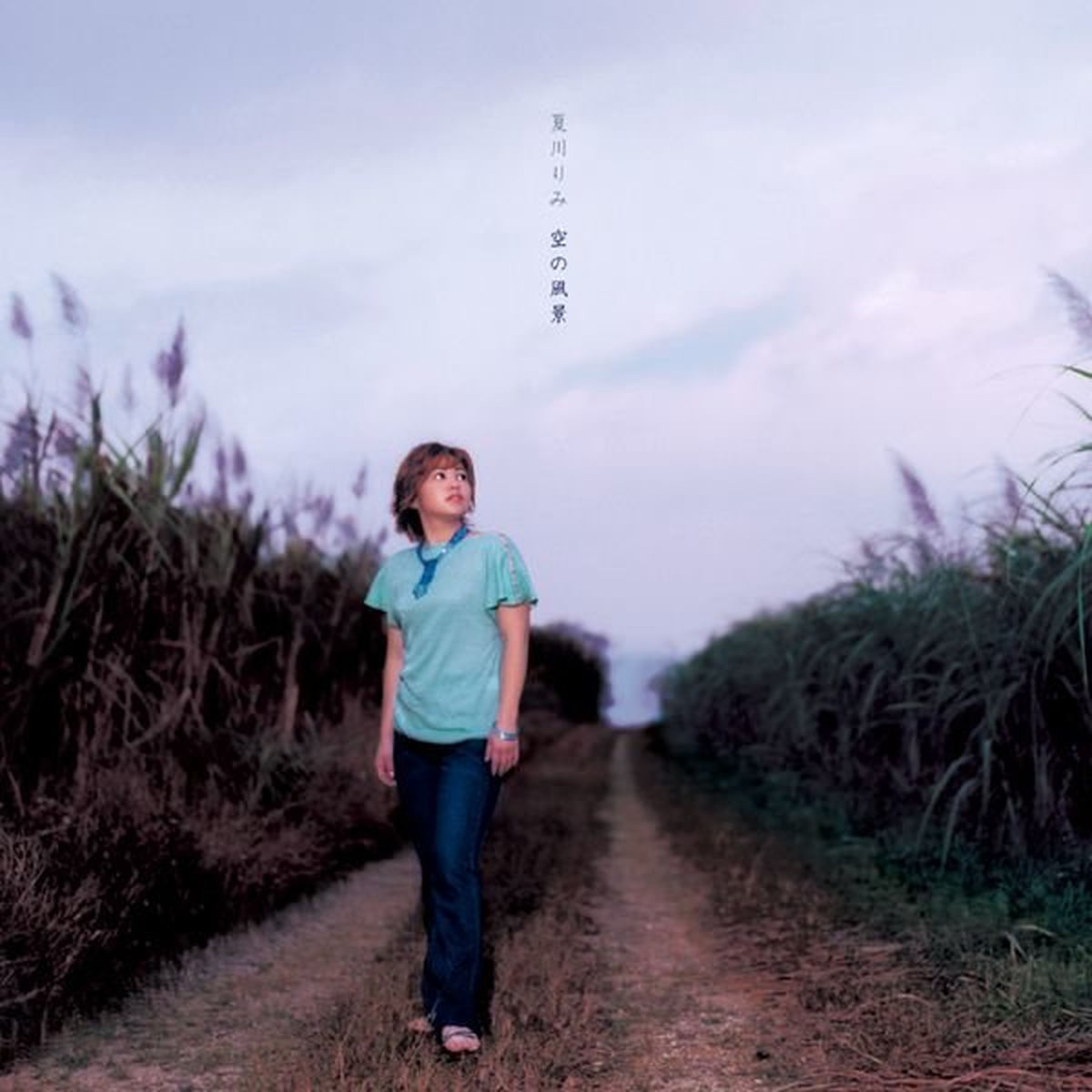 Album cover of Michishirube