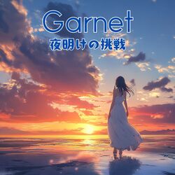 Cover of 夜明けの挑戦
