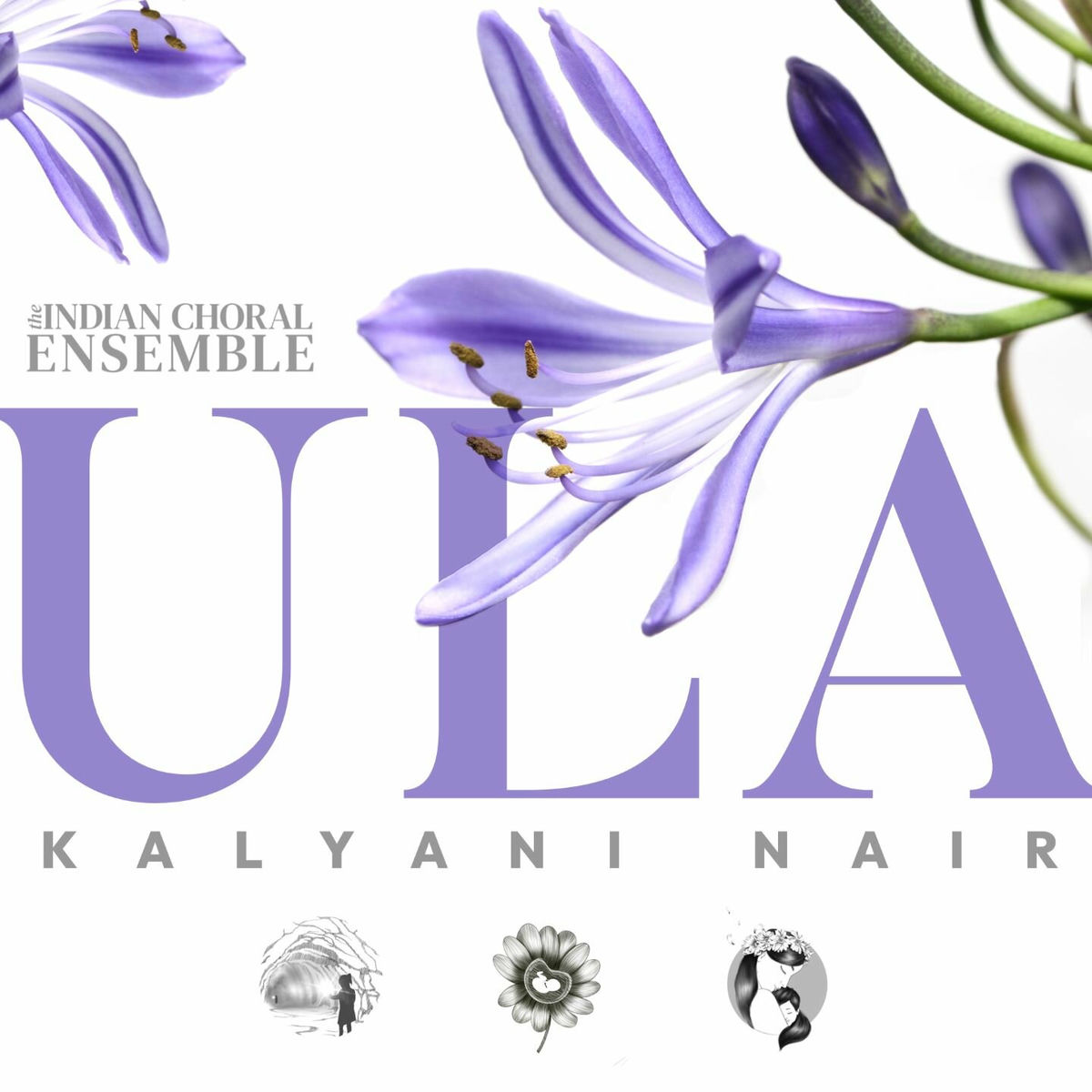 Album cover of Ula