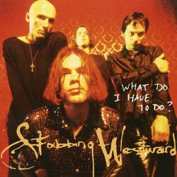 Cover of What Do I Have To Do?