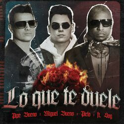Cover of Lo Que Te Duele