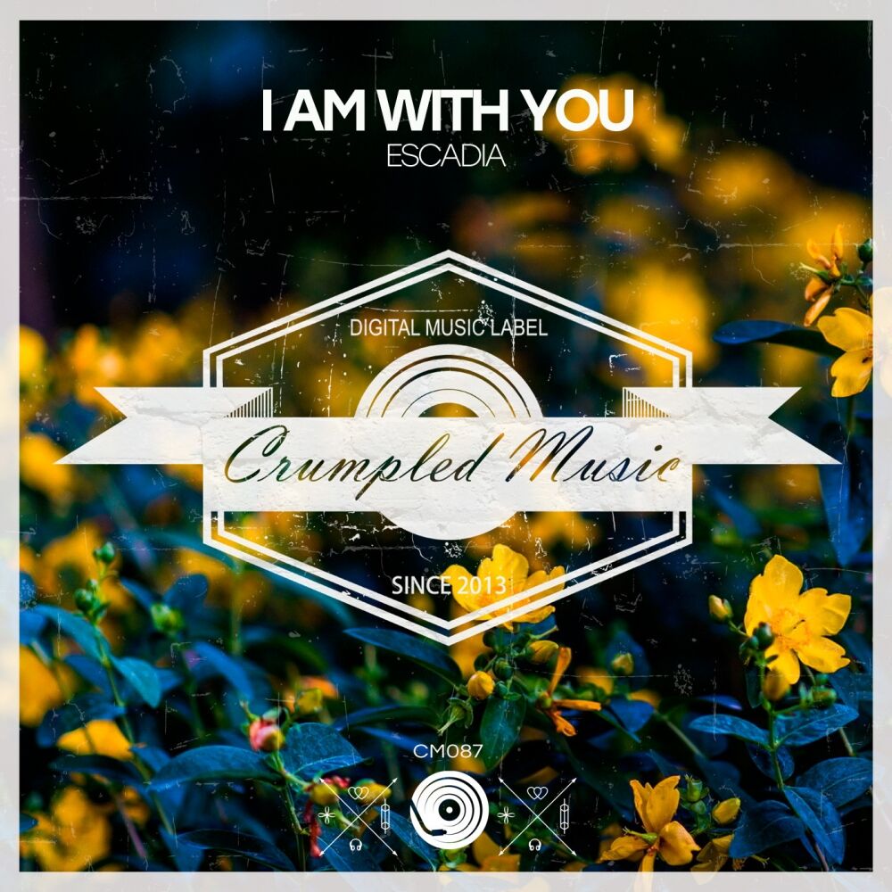Picture of I Am With You