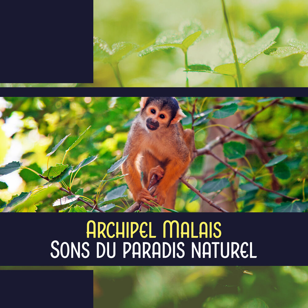 Picture of Archipel Malais: Sons du paradis naturel