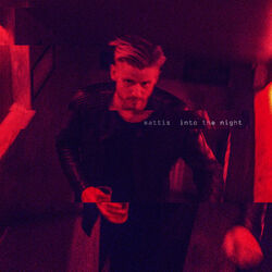 Cover of Into the Night EP