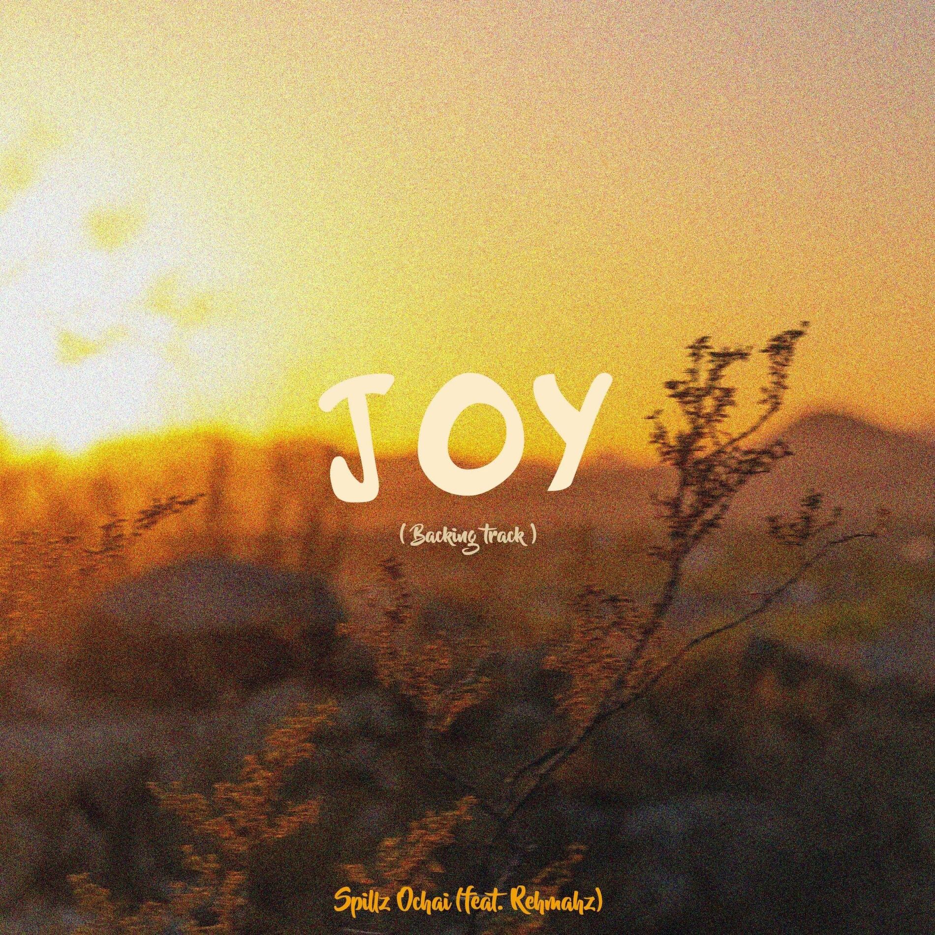 Album cover of Joy (feat. Rehmahz) [Special Version]