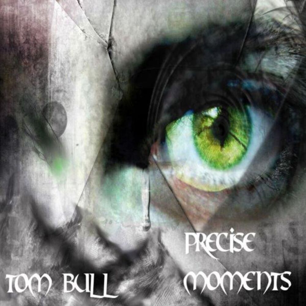 Picture of Precise Moments