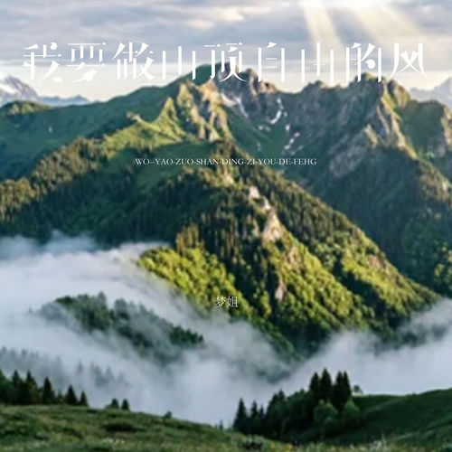 我要做山顶自由的风