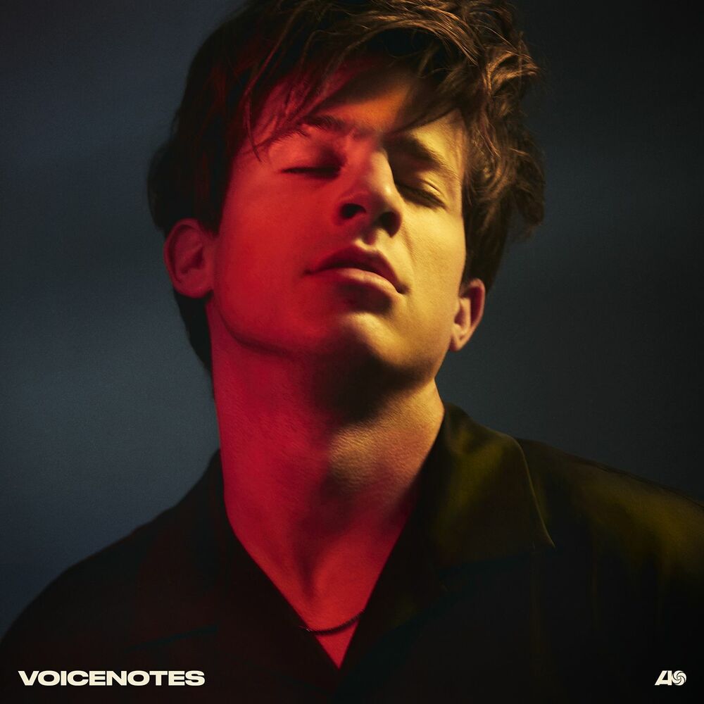 Picture of Voicenotes