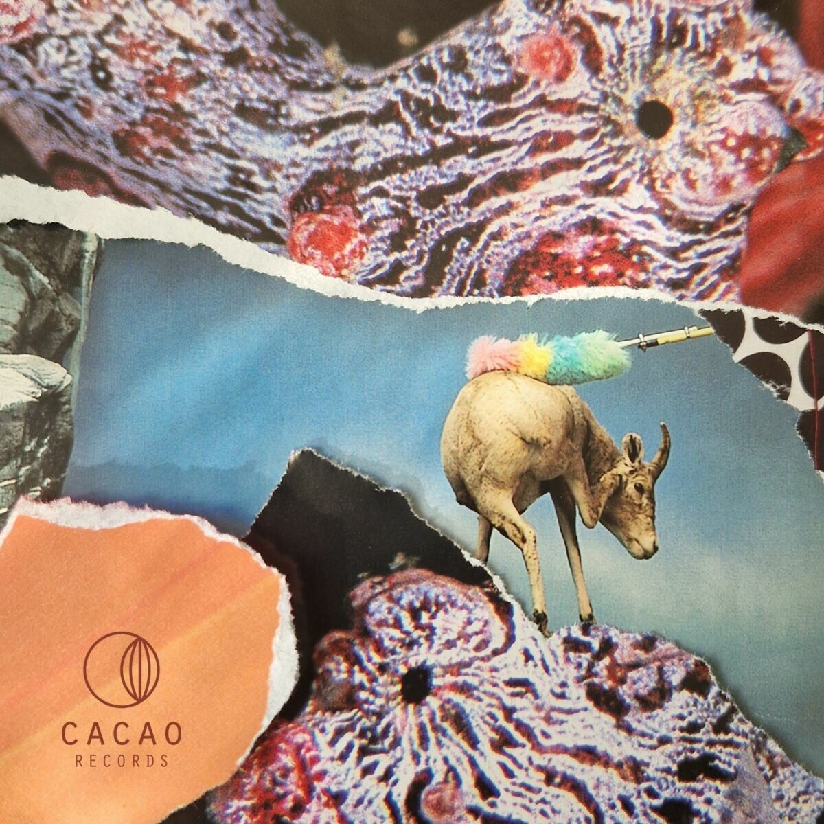 Album cover of Livin