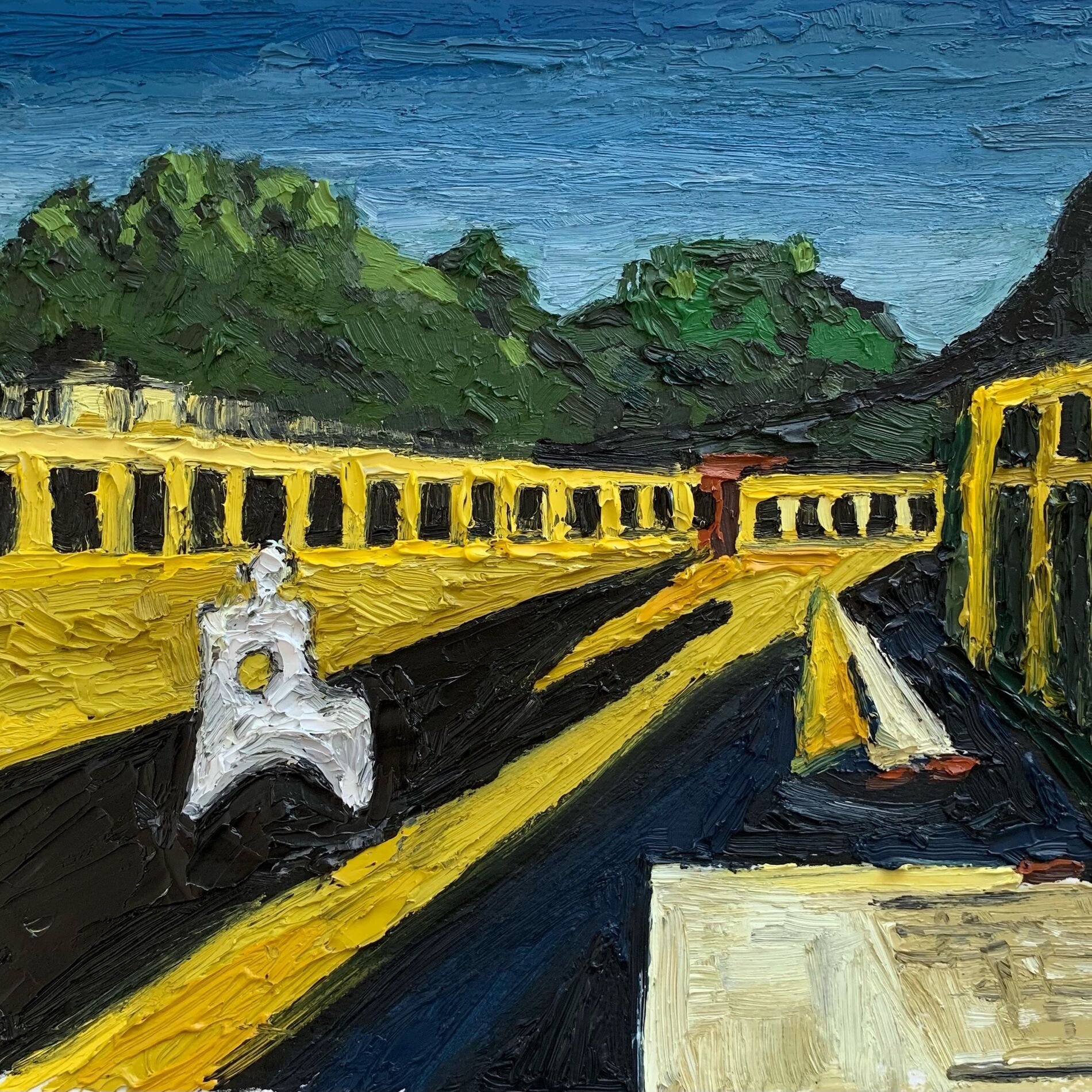 Album cover of White Shadow