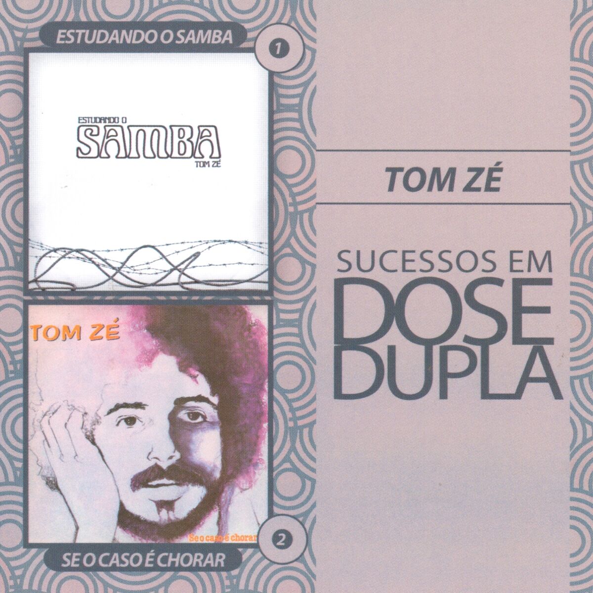 Album cover of Todos os Olhos
