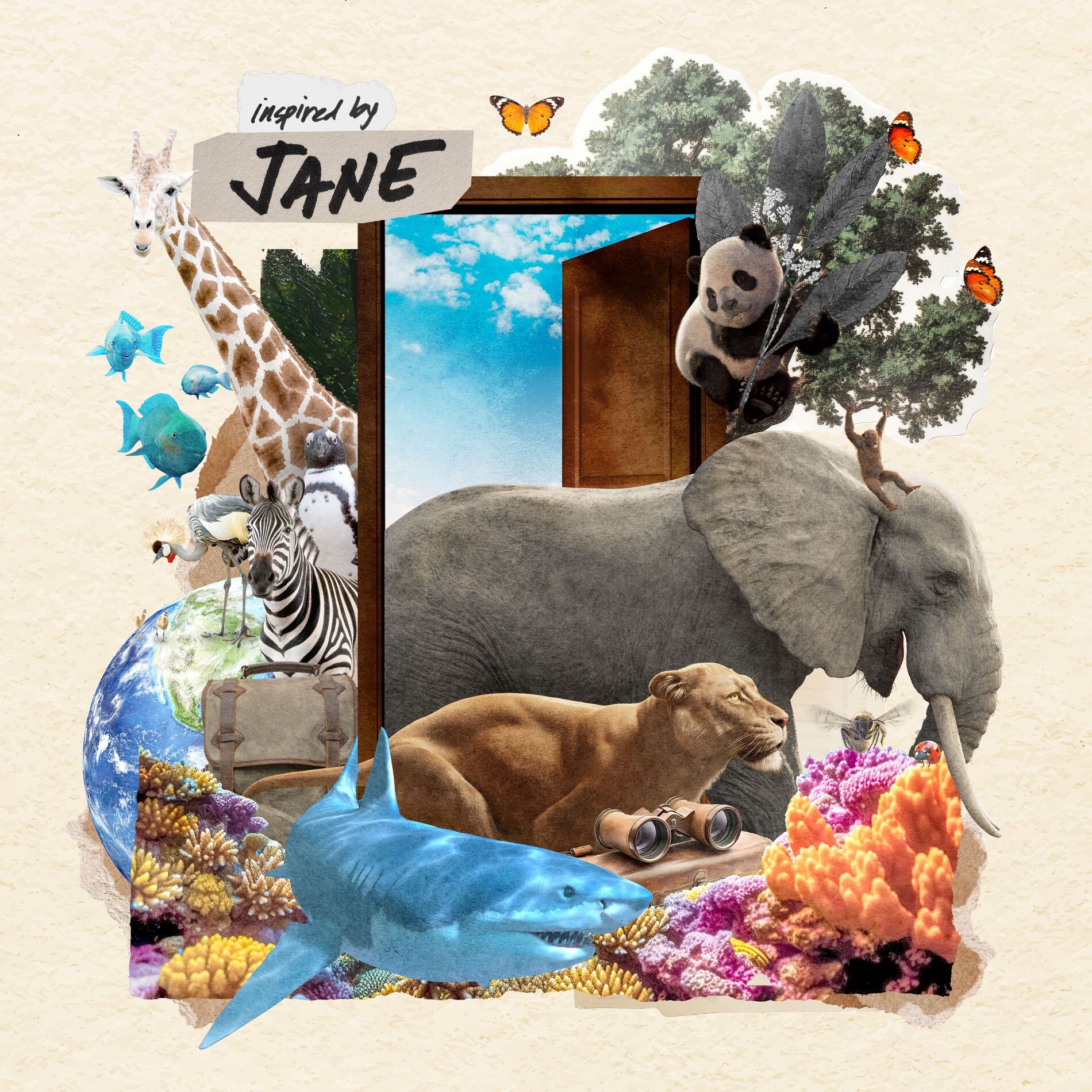 Album cover of Inspired By Jane