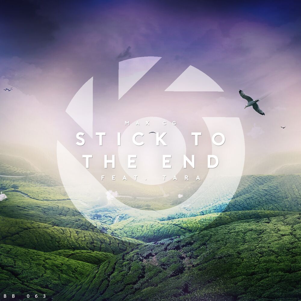 Picture of Stick to the End