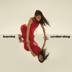 Cover of Underdog