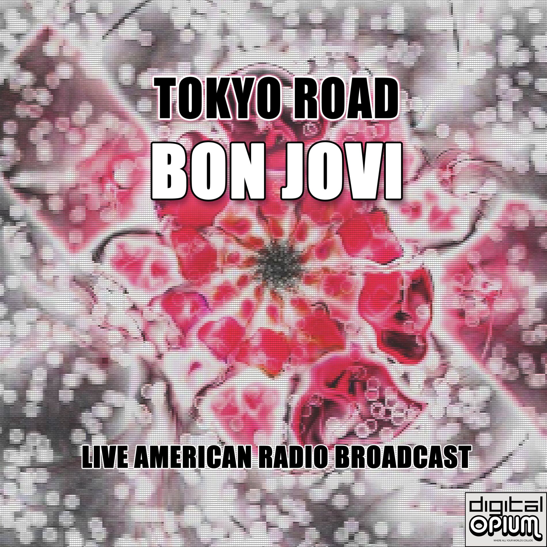 Album cover of Tokyo Road (Live)