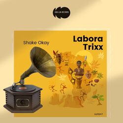 Cover of Shake Okay