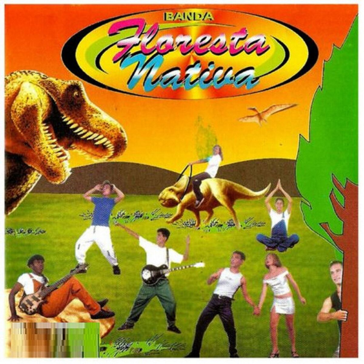 Album cover of Banda Floresta Nativa Volume 1