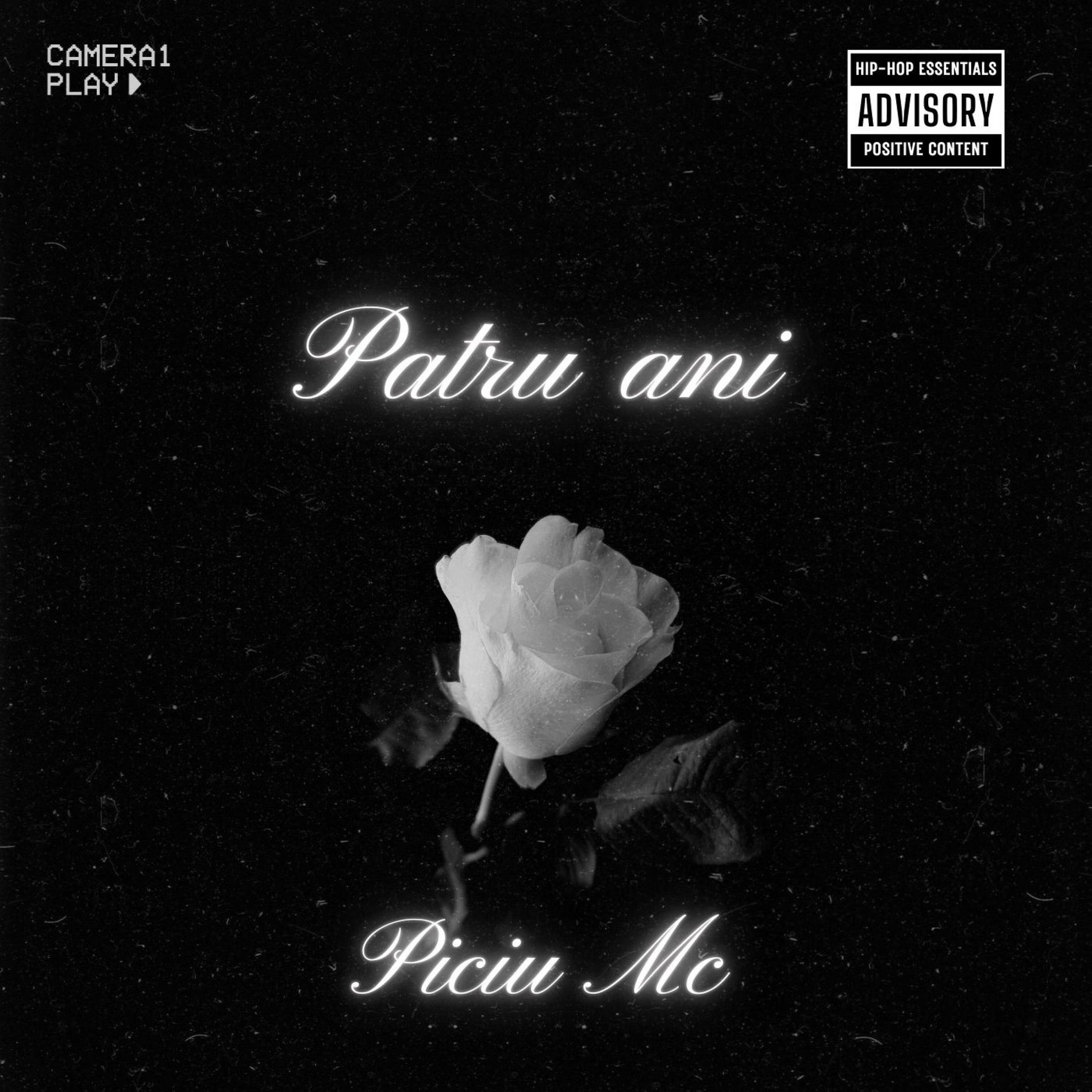 Album cover of Patru ani (feat. Luana)