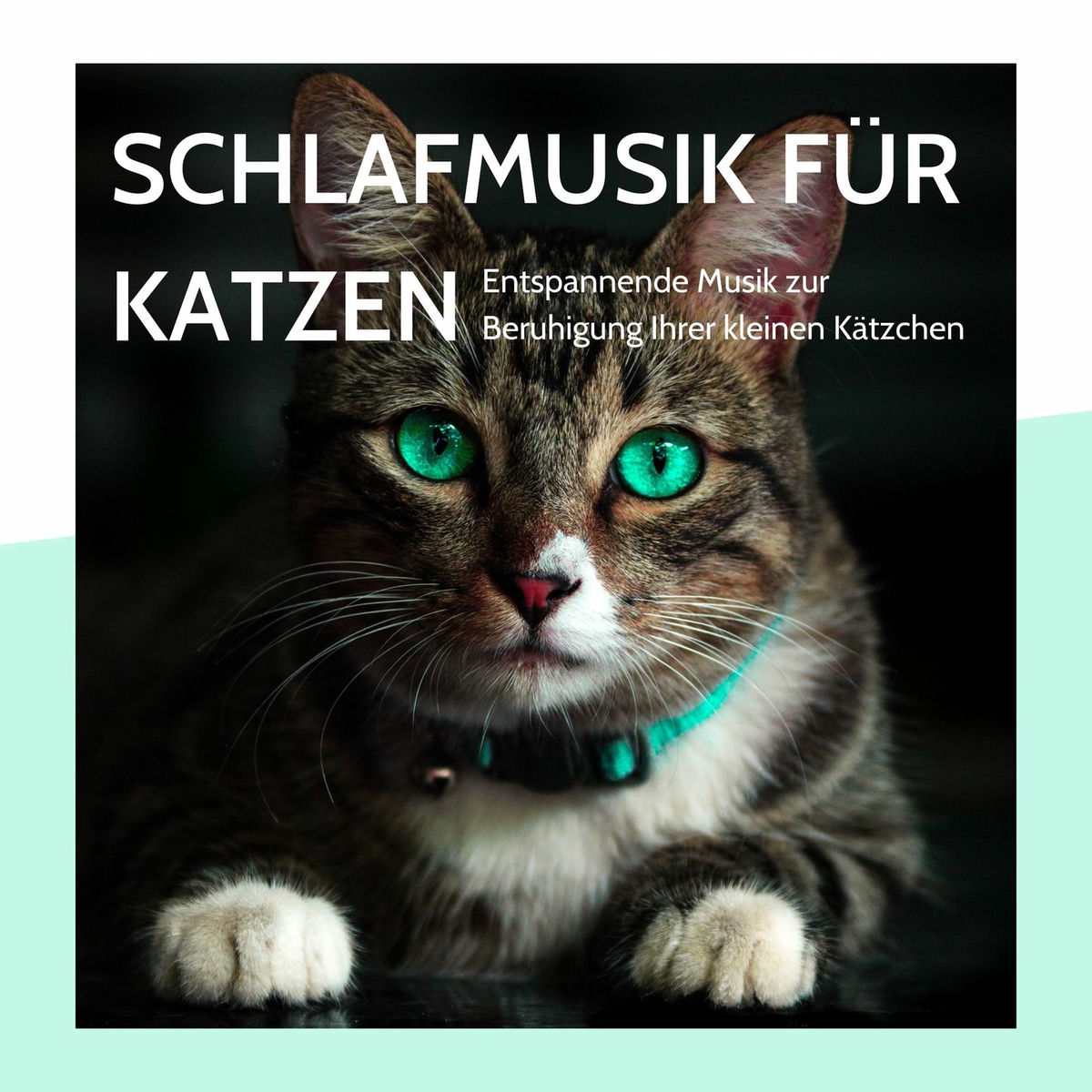 Album cover of Schlafmusik für Katzen - Entspannende Musik zur Beruhigung Ihrer kleinen Kätzchen