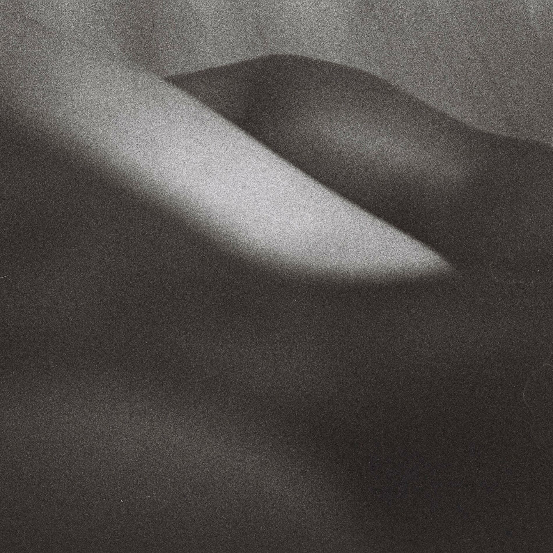 Album cover of While You Were Sleeping (feat. Raveena)