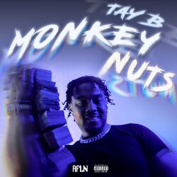 Cover of Monkey Nuts