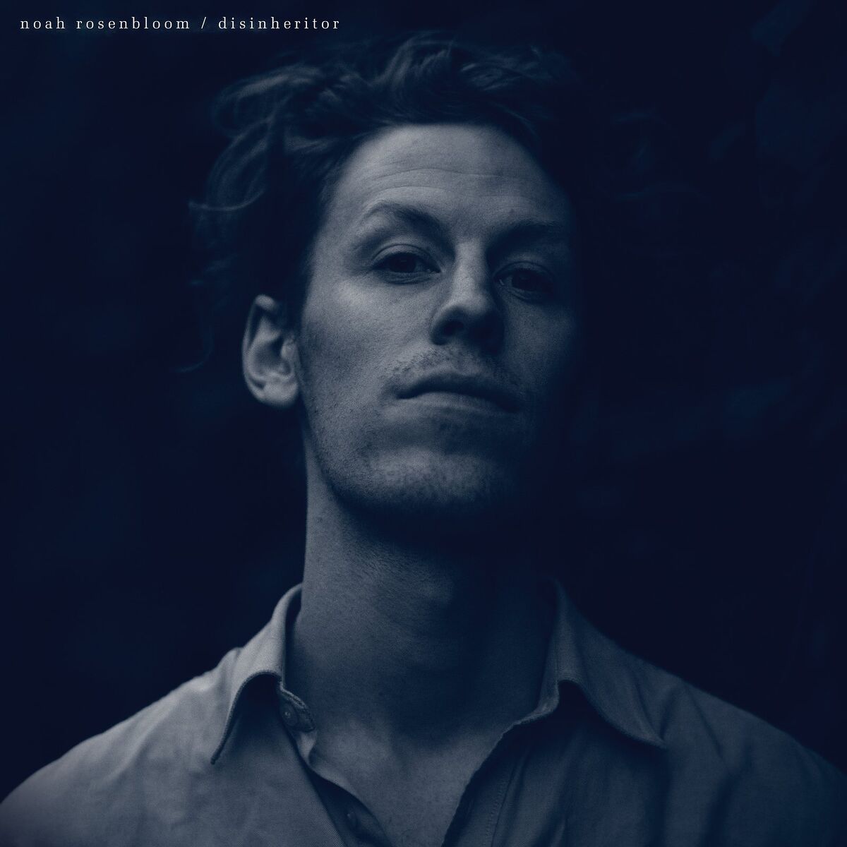Album cover of Disinheritor