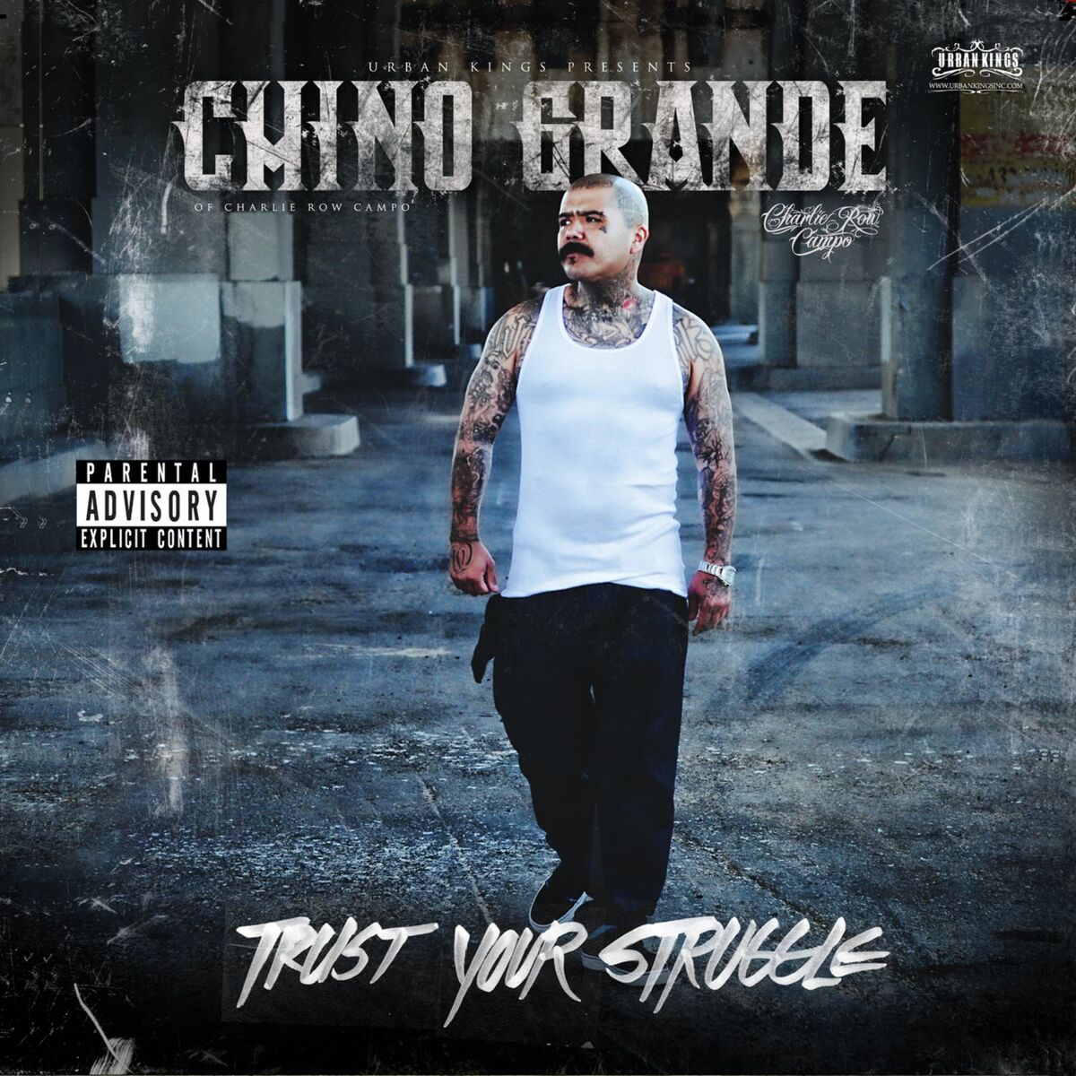 Album cover of Trust Your Struggle