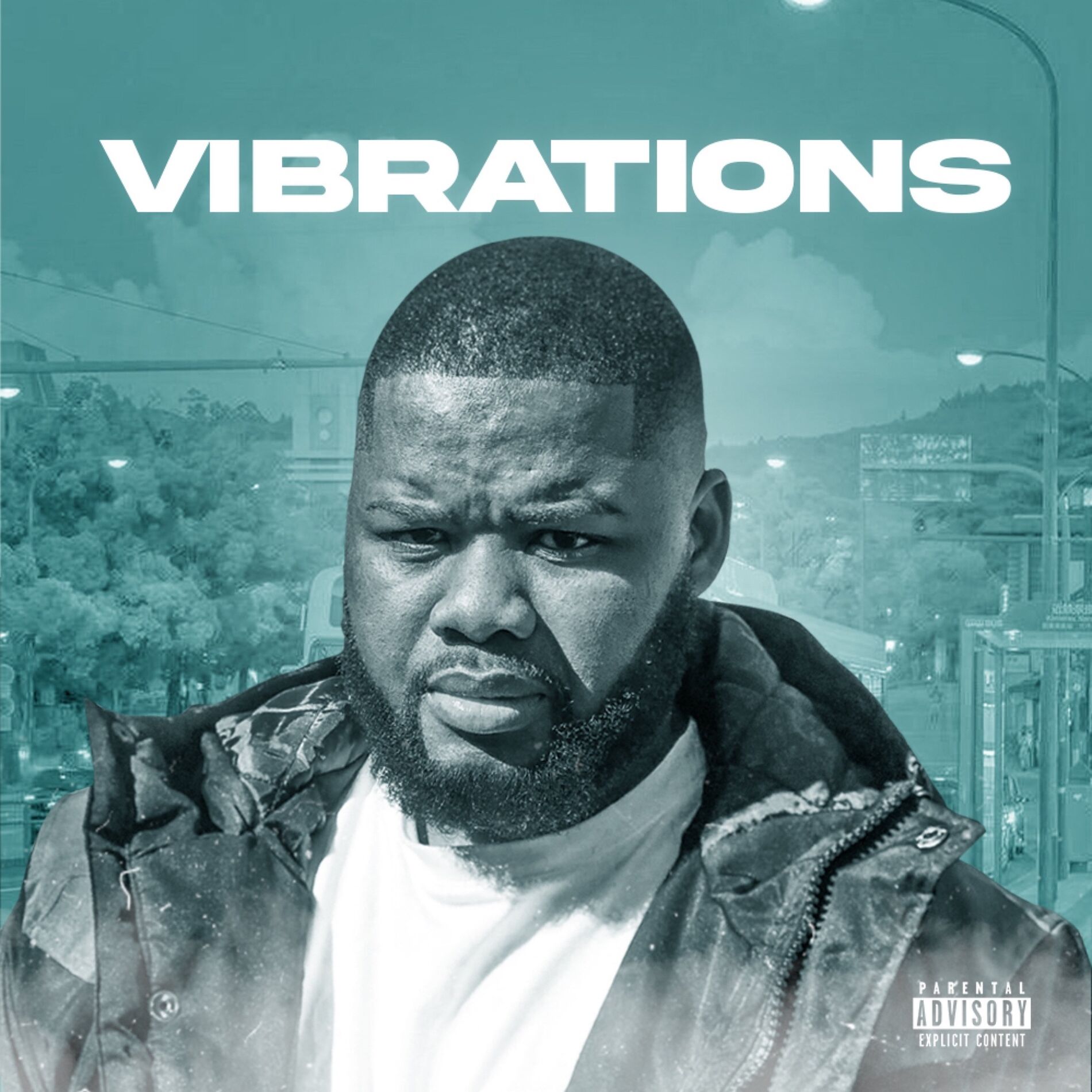 Album cover of VIBRATIONS