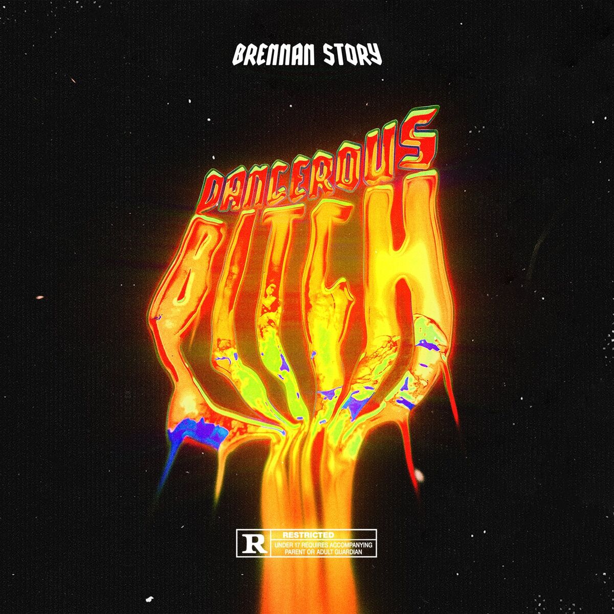 Album cover of Dangerous Bitch