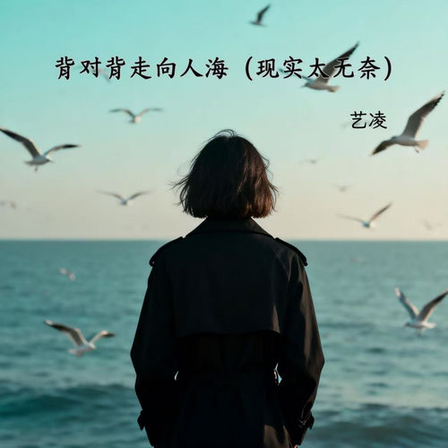 背对背走向人海 (现实太无奈)
