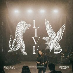 Cover of House Of Miracles (Live)