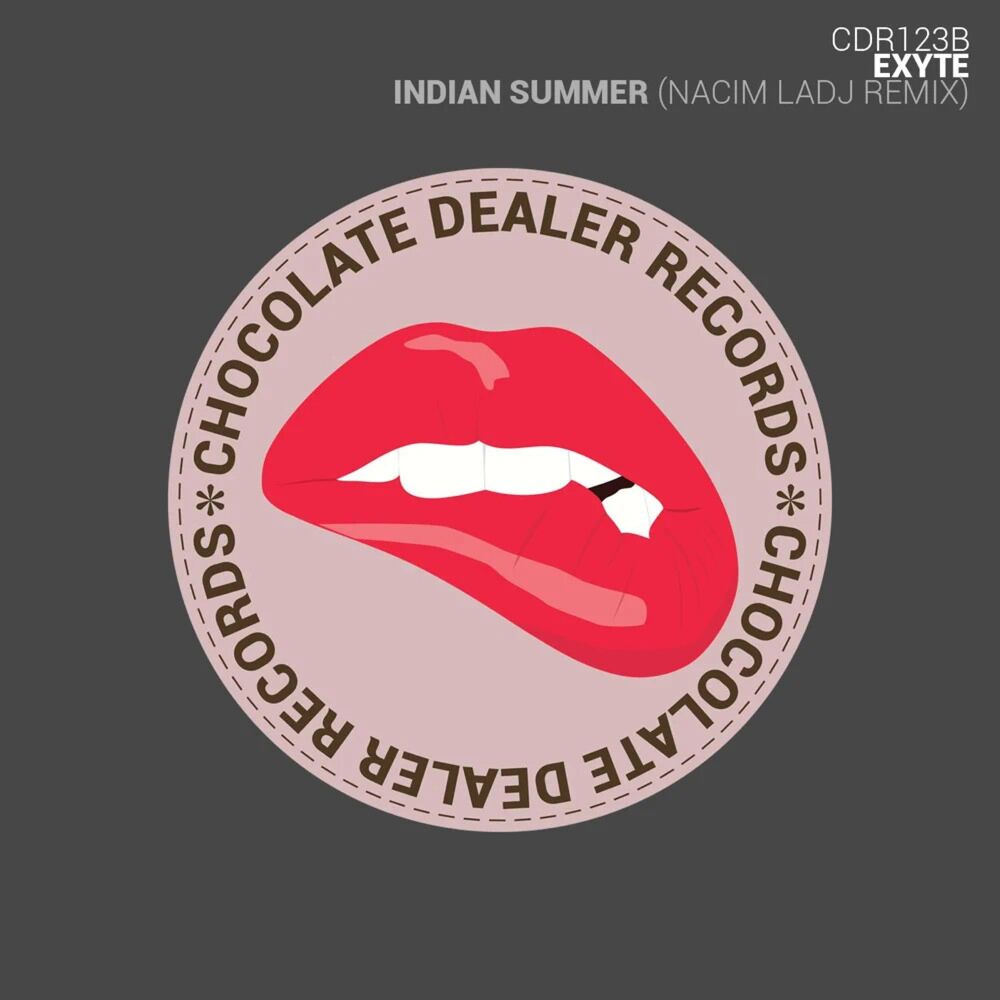 Picture of Indian Summer (Nacim Ladj Remix)