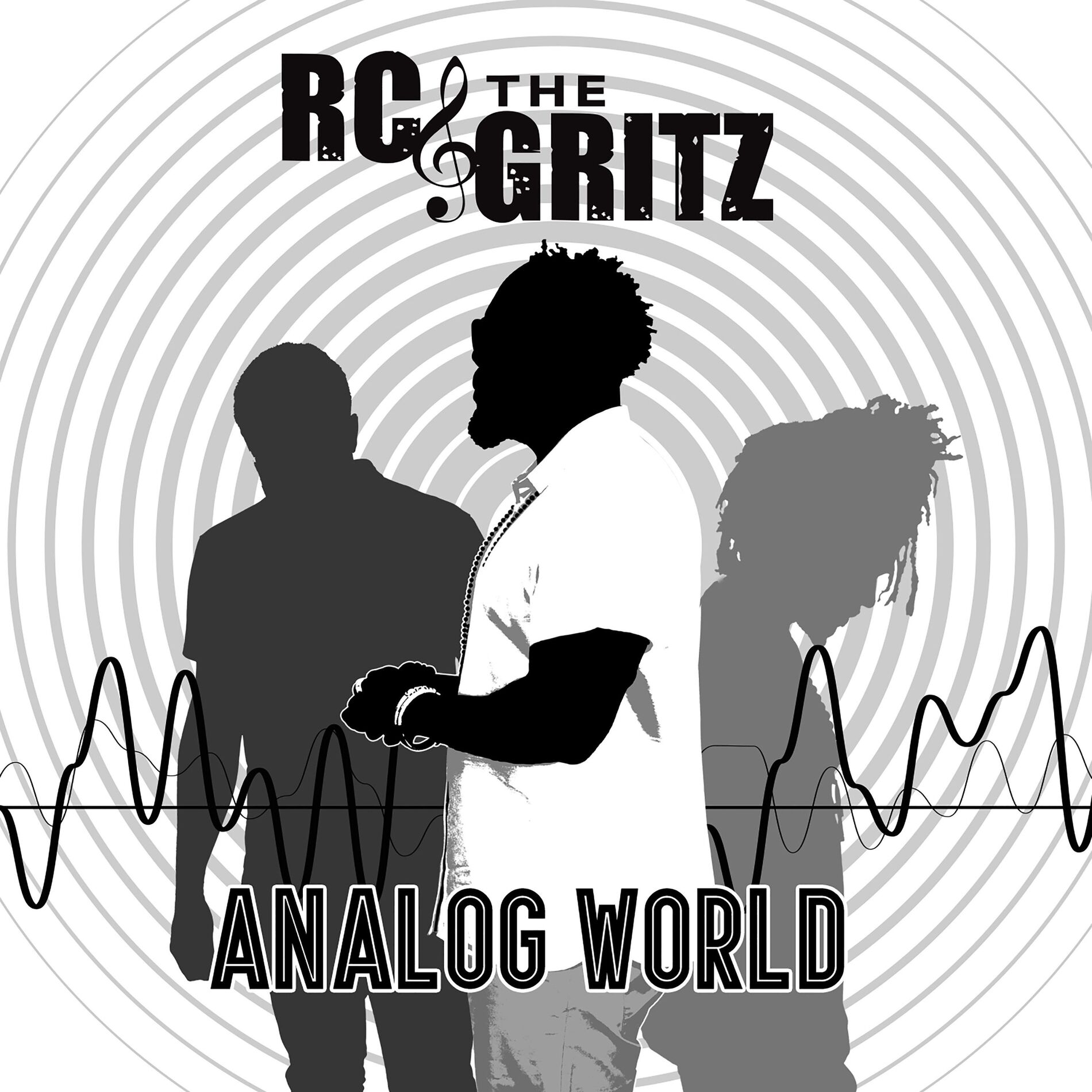 Album cover of Analog World
